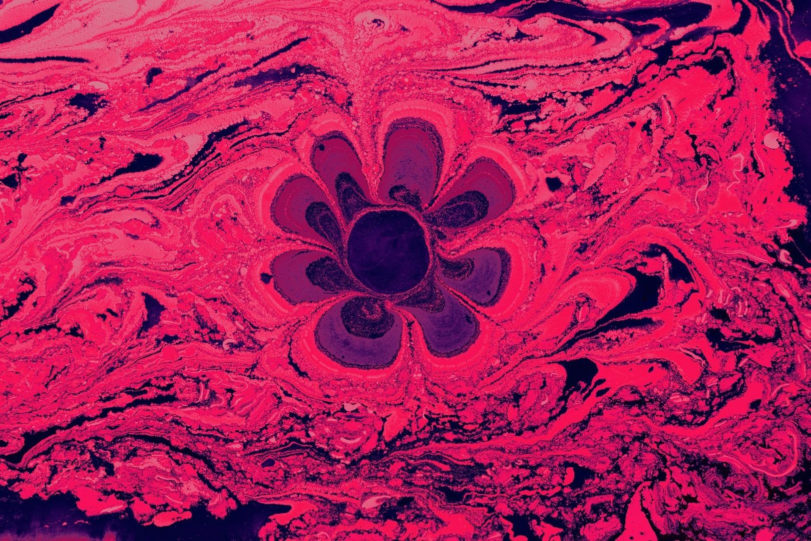 Motif floral sombre dans un nuage de colorant rose fluorescent